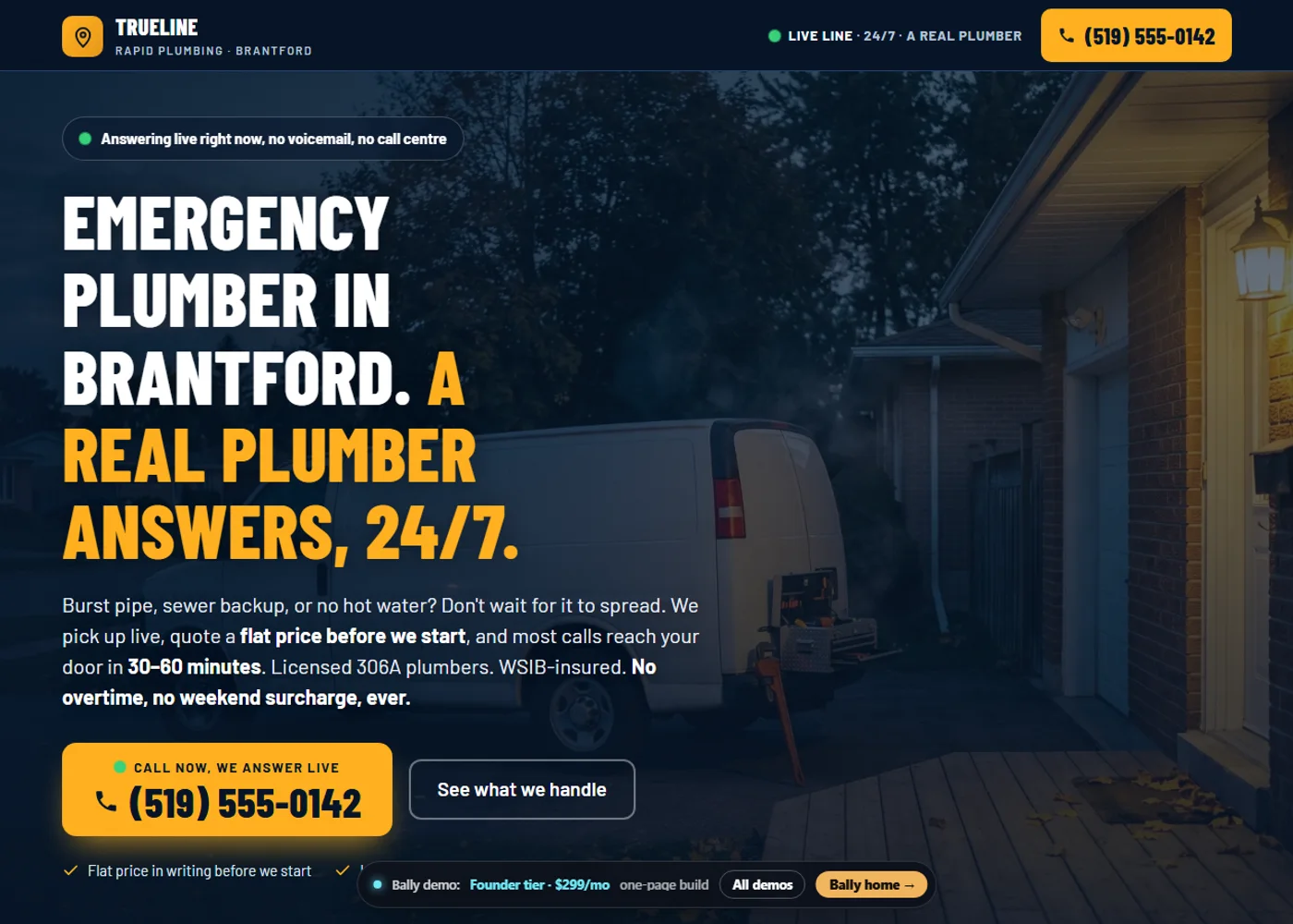 TrueLine Rapid Plumbing homepage, a fictional demonstration build
